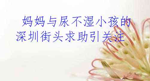  妈妈与尿不湿小孩的深圳街头求助引关注