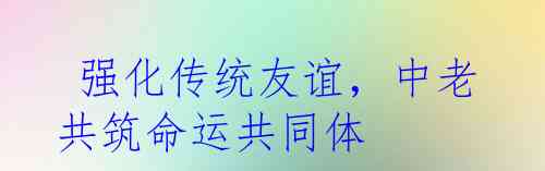  强化传统友谊，中老共筑命运共同体