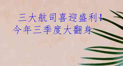  三大航司喜迎盛利！今年三季度大翻身
