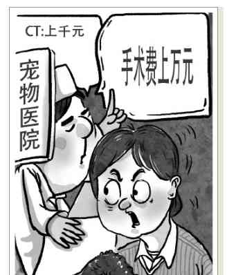 宠物经济蓬勃发展，但面临医疗难题