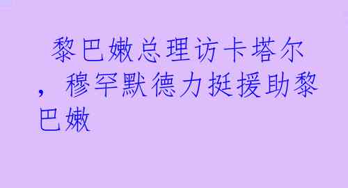  黎巴嫩总理访卡塔尔，穆罕默德力挺援助黎巴嫩