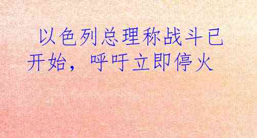  以色列总理称战斗已开始，呼吁立即停火