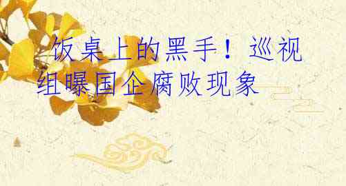  饭桌上的黑手！巡视组曝国企腐败现象