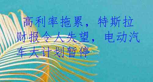  高利率拖累，特斯拉财报令人失望，电动汽车大计划暂停