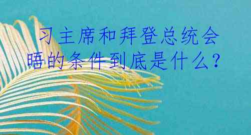  习主席和拜登总统会晤的条件到底是什么？