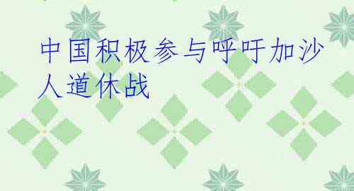 中国积极参与呼吁加沙人道休战