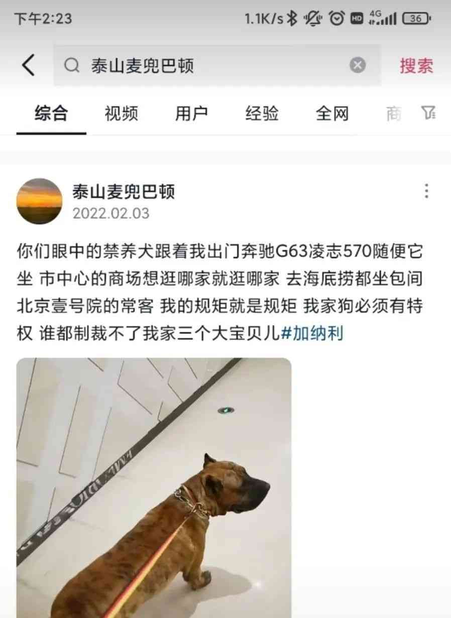  济南犬检疯狂  居民猛耍翻版 型犬逆袭!   