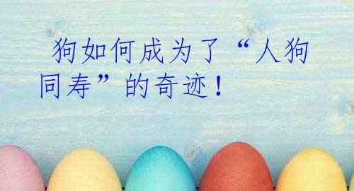  狗如何成为了“人狗同寿”的奇迹！