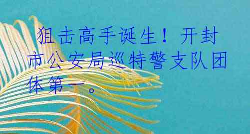  狙击高手诞生！开封市公安局巡特警支队团体第一。