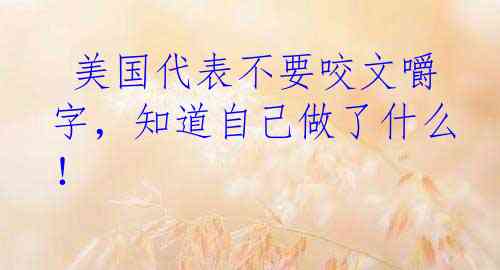  美国代表不要咬文嚼字，知道自己做了什么！