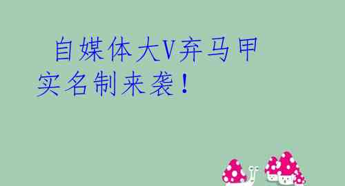  自媒体大V弃马甲 实名制来袭！