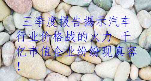  三季度报告揭示汽车行业价格战的火力 千亿市值企业纷纷现真容！