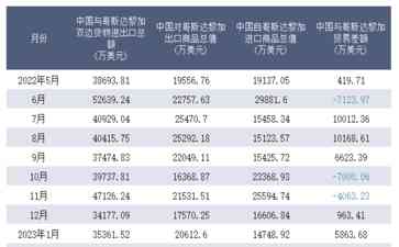 全球南方：机遇与挑战共存