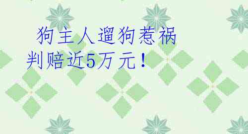  狗主人遛狗惹祸 判赔近5万元！