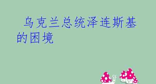  乌克兰总统泽连斯基的困境