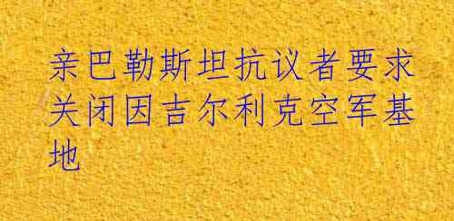 亲巴勒斯坦抗议者要求关闭因吉尔利克空军基地