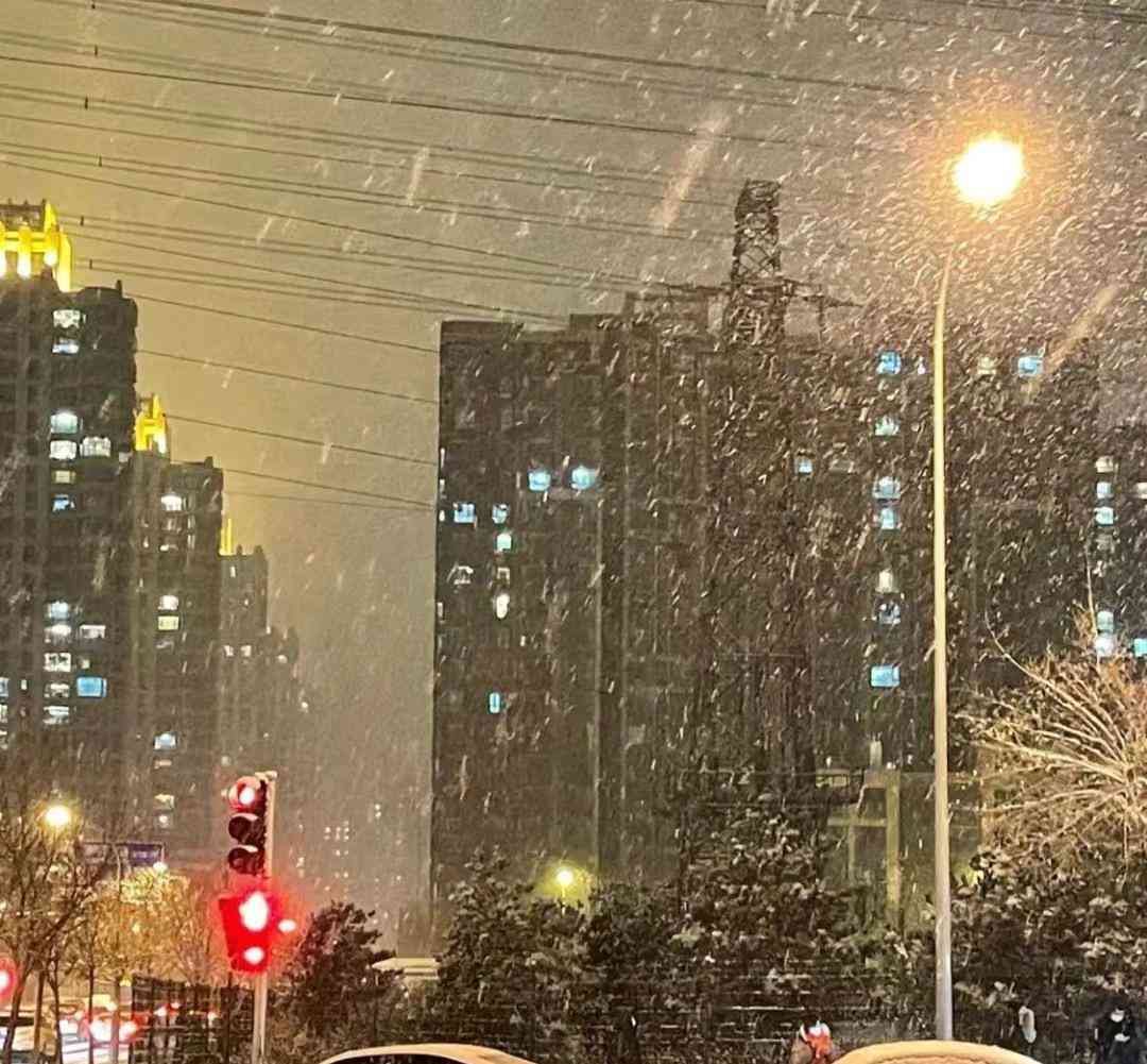 创世纪到来，雪已是登峰造极了！珍贵一刻，朱先生见证年来最大雪