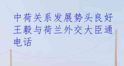  中荷关系发展势头良好 王毅与荷兰外交大臣通电话
