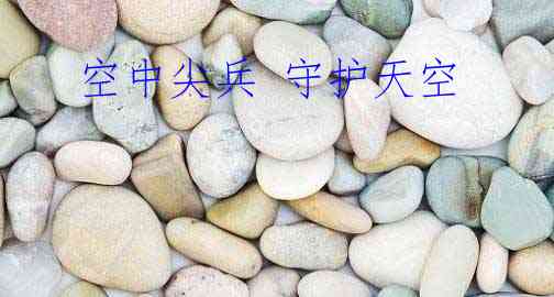  空中尖兵 守护天空