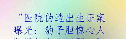  "医院伪造出生证案曝光: 豹子胆惊心人犯疑智商有问题？"
