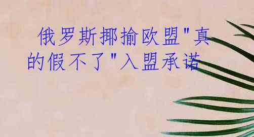  俄罗斯揶揄欧盟"真的假不了"入盟承诺
