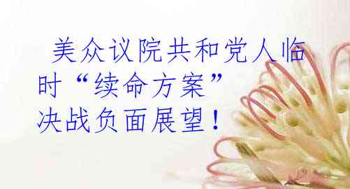  美众议院共和党人临时“续命方案” 决战负面展望！