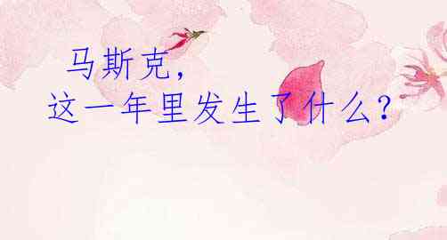  马斯克, 这一年里发生了什么？