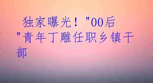  独家曝光！"00后"青年丁雕任职乡镇干部
