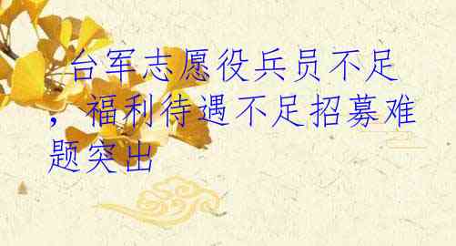  台军志愿役兵员不足，福利待遇不足招募难题突出