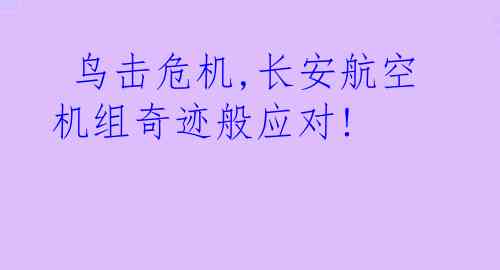 鸟击危机,长安航空机组奇迹般应对!