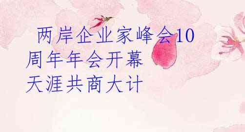  两岸企业家峰会10周年年会开幕 天涯共商大计