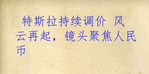  特斯拉持续调价 风云再起，镜头聚焦人民币