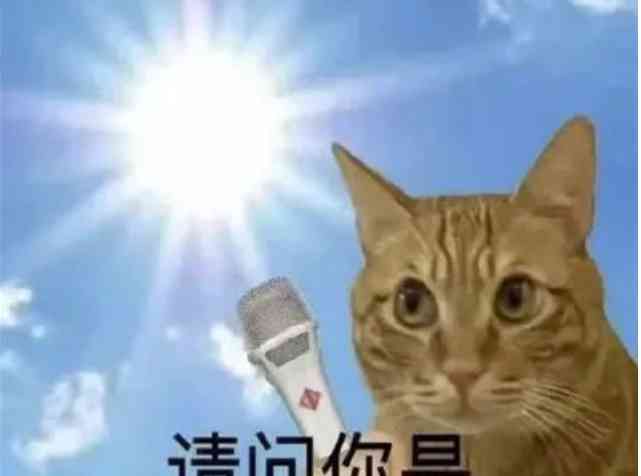 美国同学眼中的留学生