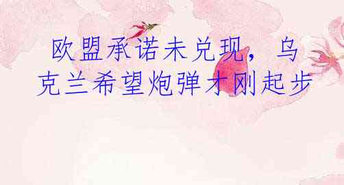  欧盟承诺未兑现，乌克兰希望炮弹才刚起步