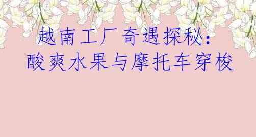  越南工厂奇遇探秘：酸爽水果与摩托车穿梭