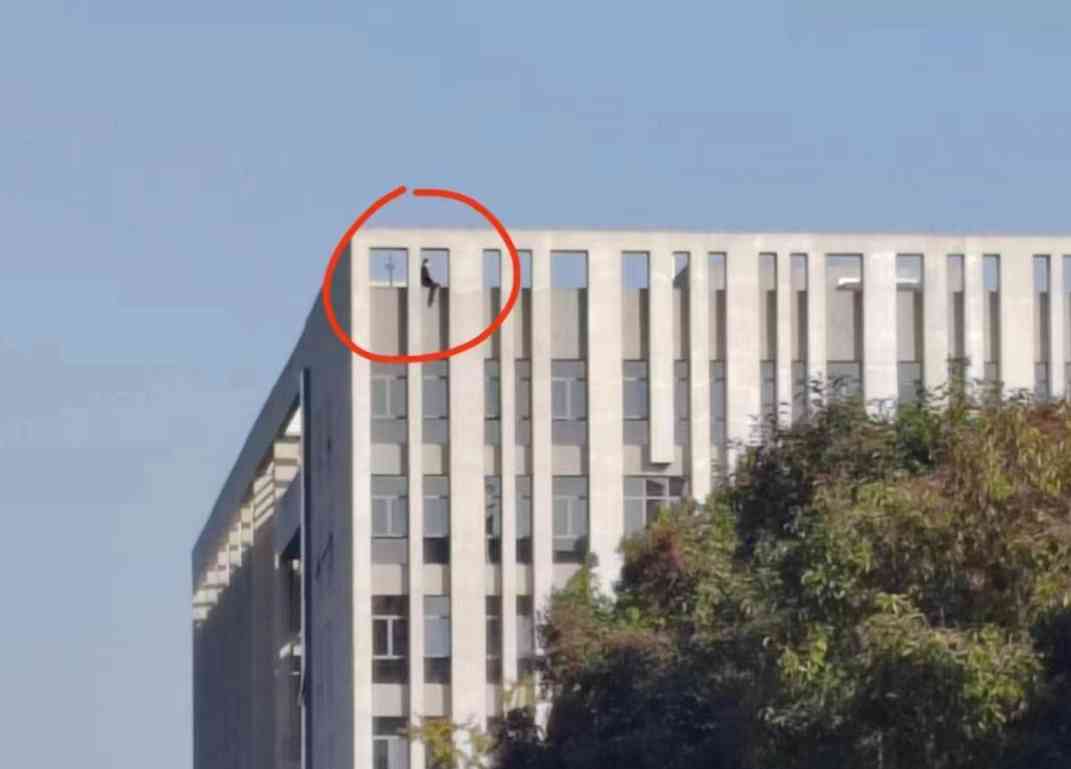  周口师范学院特聘教授公开抛撒公开信，揭露教学楼顶上的恩怨纠葛