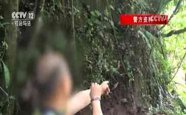  天网恢恢,兄弟情仇