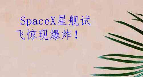  SpaceX星舰试飞惊现爆炸！