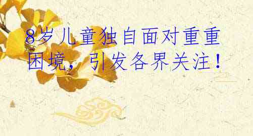 8岁儿童独自面对重重困境，引发各界关注！