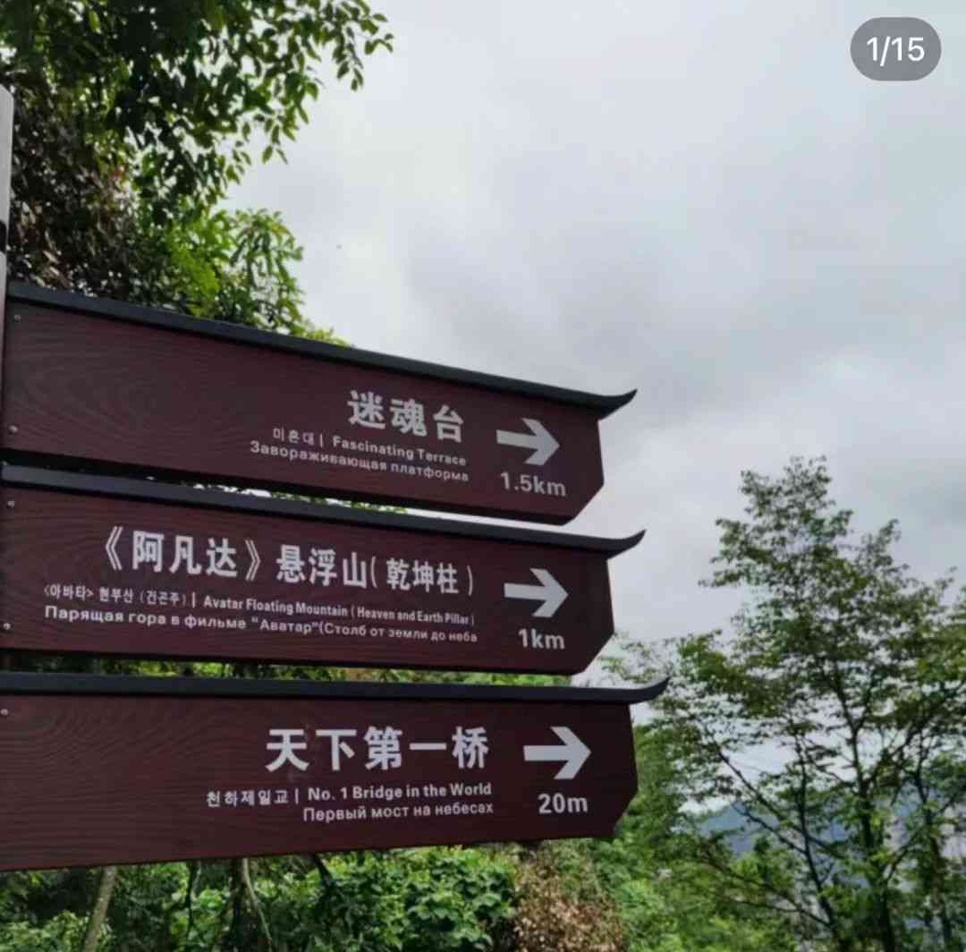 张家界与韩国孝道文化融合，成为中老年人的时尚热门目的地！