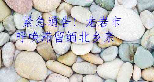  紧急通告! 龙岩市呼唤滞留缅北乡亲