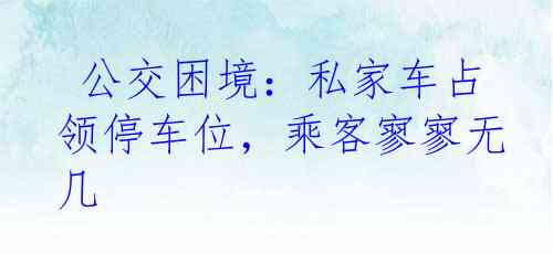  公交困境：私家车占领停车位，乘客寥寥无几
