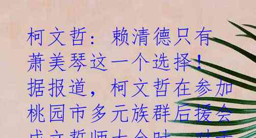 柯文哲: 赖清德只有萧美琴这一个选择！
据报道，柯文哲在参加桃园市多元族群后援会成立誓师大会时，对于民进党参选人赖清德选