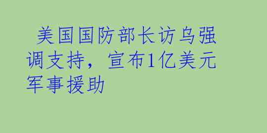  美国国防部长访乌强调支持，宣布1亿美元军事援助