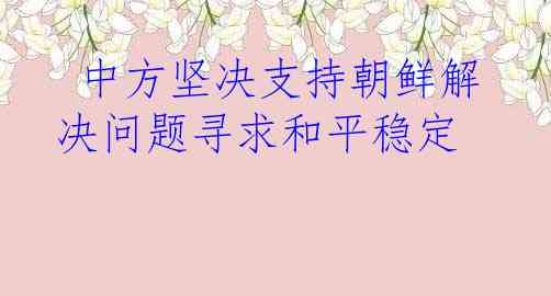 中方坚决支持朝鲜解决问题寻求和平稳定