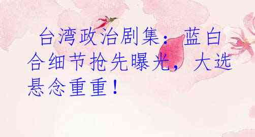  台湾政治剧集：蓝白合细节抢先曝光，大选悬念重重！