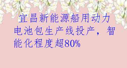  宜昌新能源船用动力电池包生产线投产，智能化程度超80%