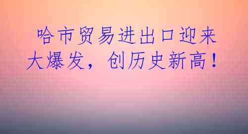  哈市贸易进出口迎来大爆发，创历史新高！