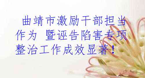 曲靖市激励干部担当作为 暨诬告陷害专项整治工作成效显著！