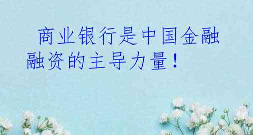  商业银行是中国金融融资的主导力量！